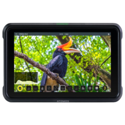 Moniteur Atomos Shinobi 5 Pouces HDMI