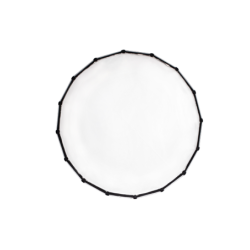 NanLite Para 90 Softbox (Dôme pour COB / FORZA) - Location - Soscine